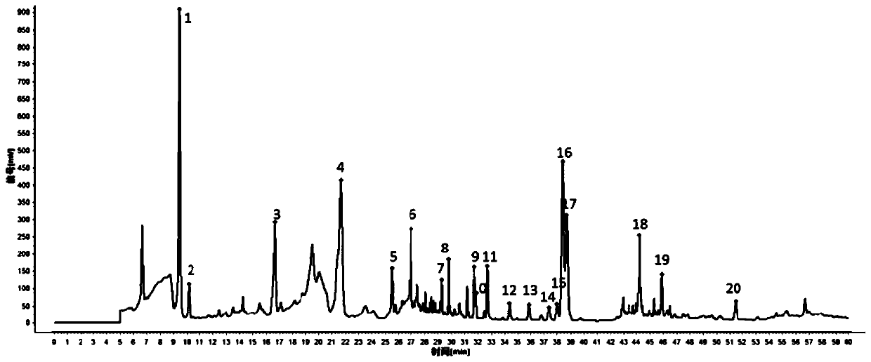 Fingerprint spectrum detection method for aboveground part of ligusticum wallichii