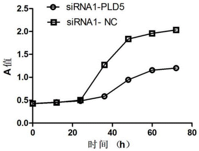 Marker for diagnosing and treating lung adenocarcinoma