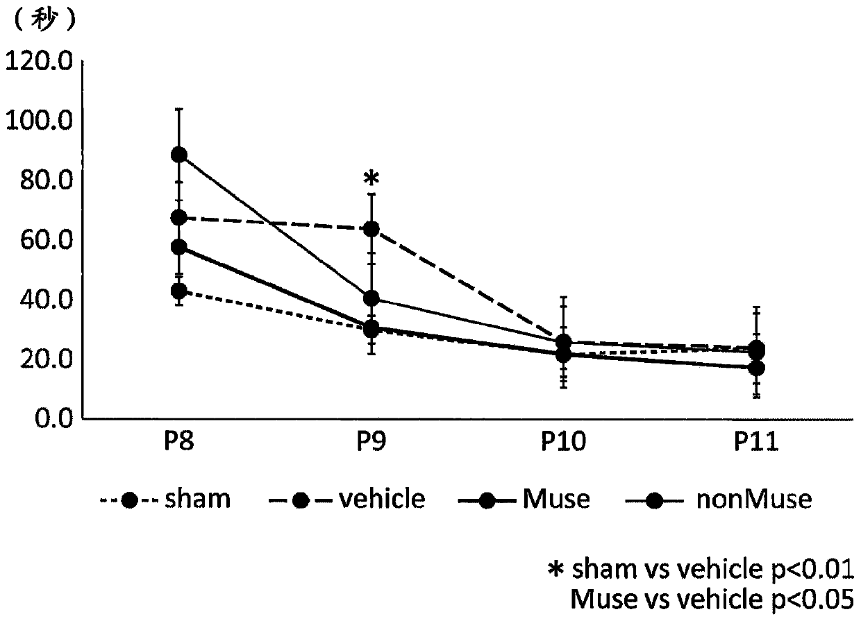 Amelioration and treatment of brain disorder resulting from fetal growth retardation using pluripotent stem cells