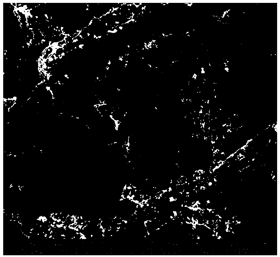 Preparation method of lithium-sulphur battery electrode