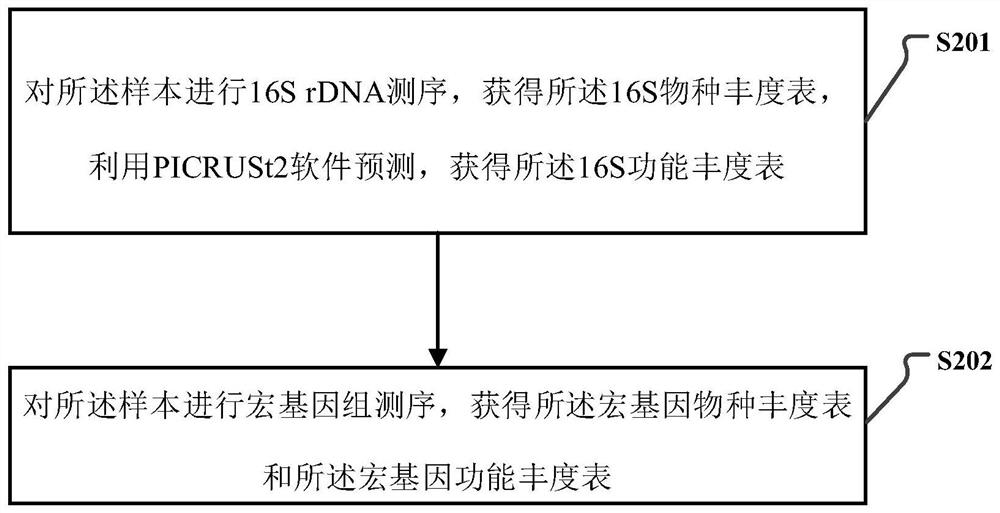 16S and metagenome sequencing data association analysis method and system, and equipment