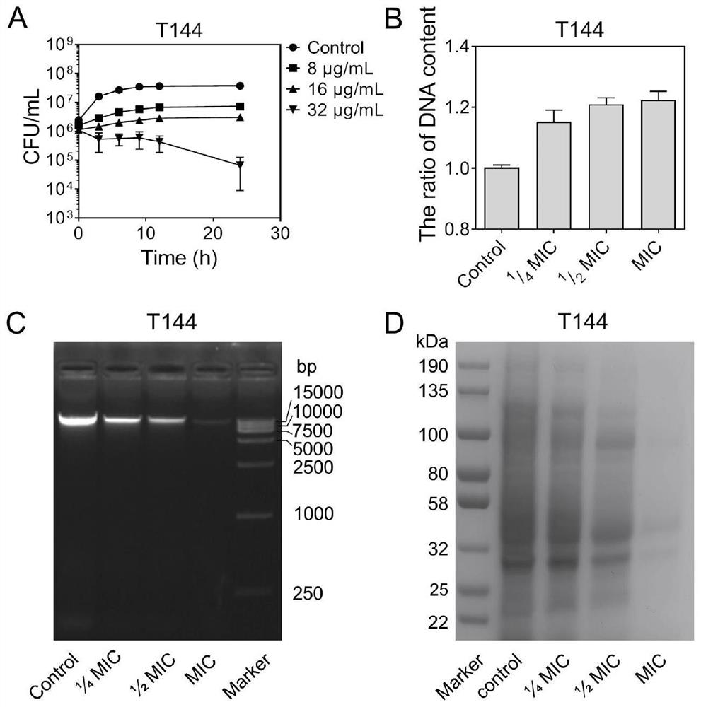 New antibacterial application of cyanine dye ir780