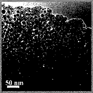 Preparation method and application of nitrogen-doped porous carbon-loaded cobalt catalyst