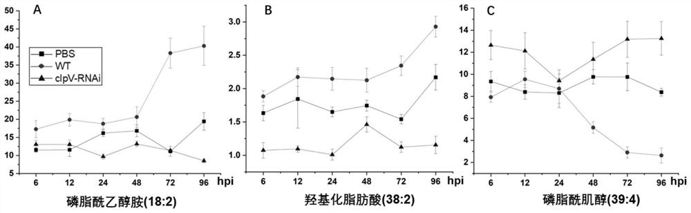 Combined metabolic marker and detection kit for judging genetic modification effect of pathogenic bacteria of visceral white-spot disease of epinephelus coioides