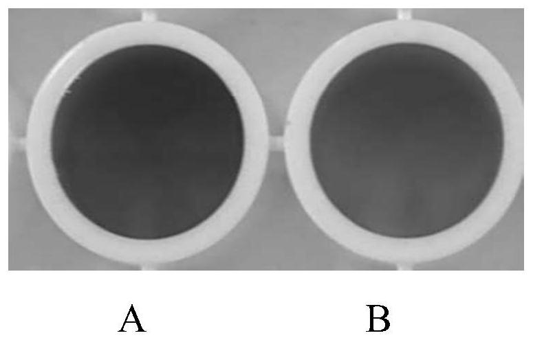 Rapid Determination Method of Pyridoxal Phosphate Using Nanogold as Chromogenic Probe