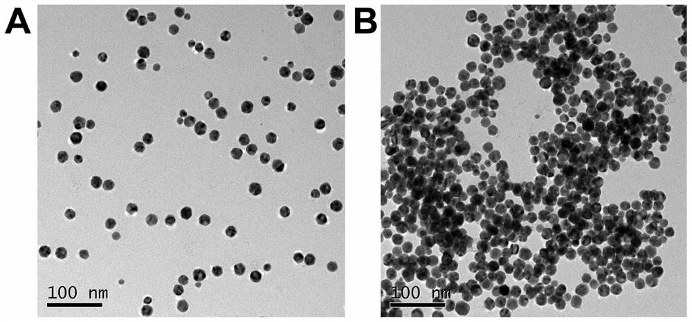 Rapid Determination Method of Pyridoxal Phosphate Using Nanogold as Chromogenic Probe