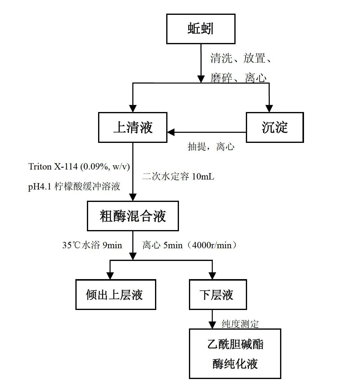 Purification method of acetylcholinesterase from earthworm serum