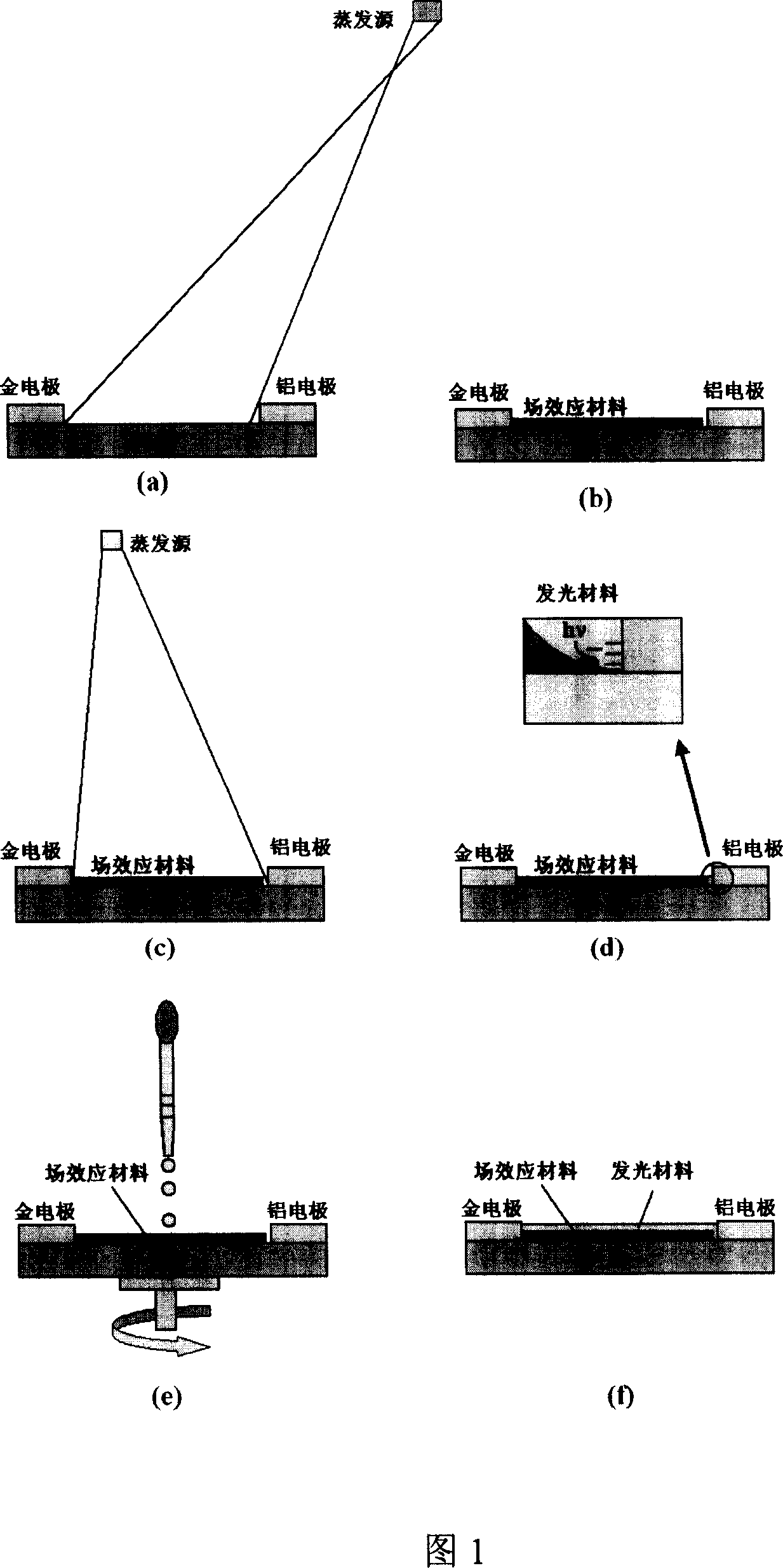 Organic light-emitting field effect transistor