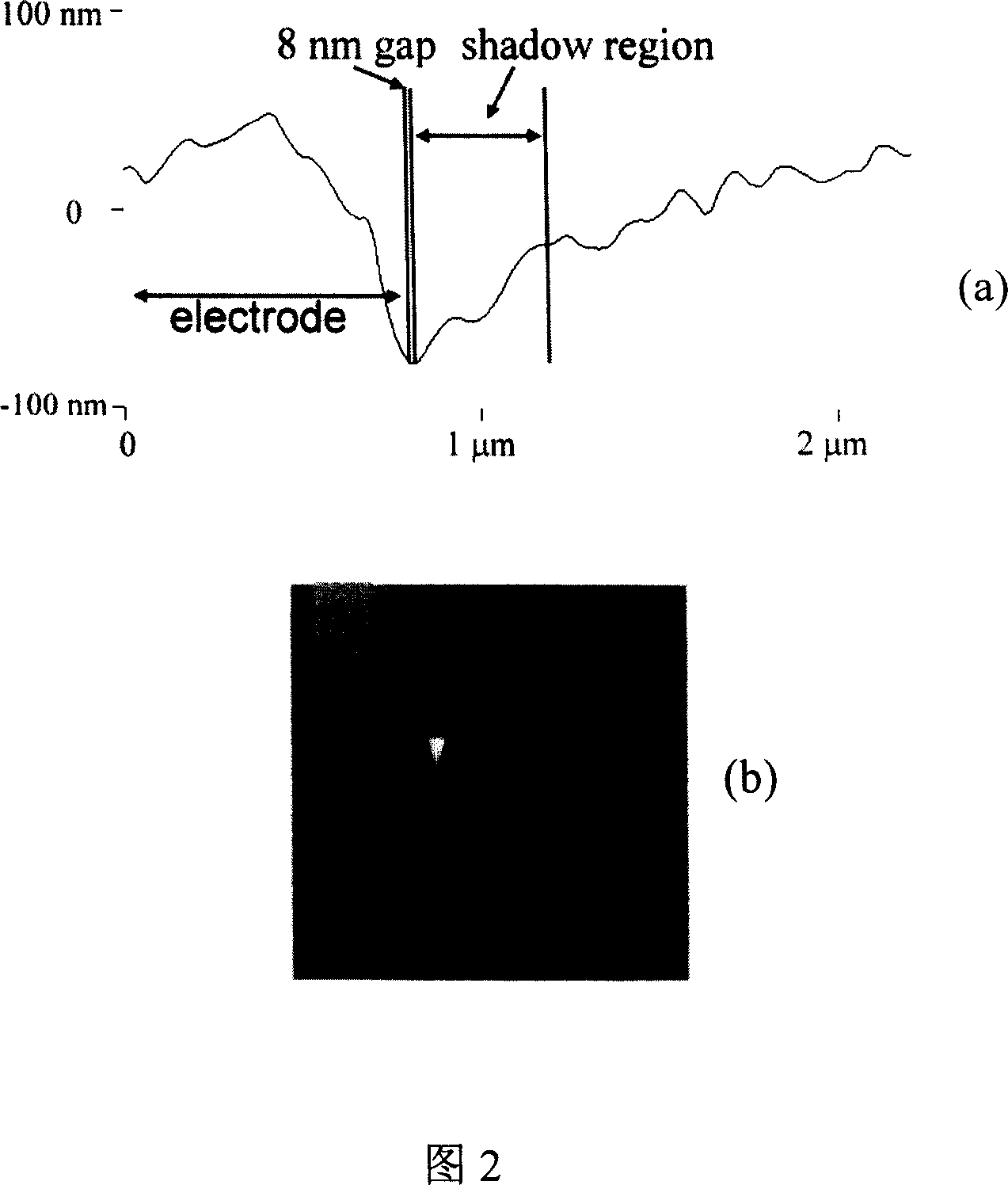 Organic light-emitting field effect transistor