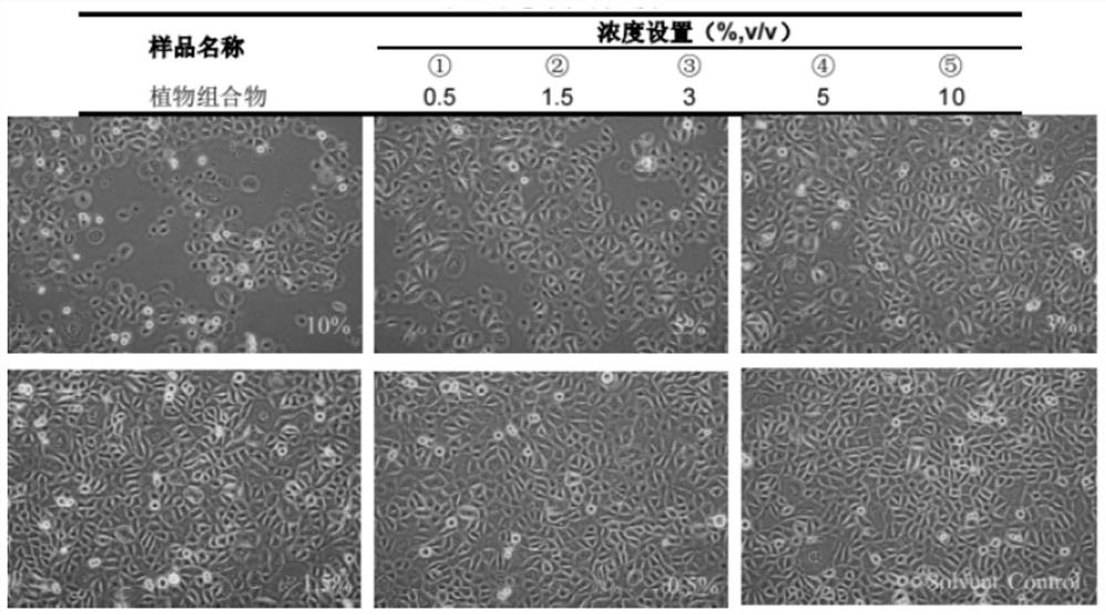 Plant composition with anti-aging effect and application of plant composition in cosmetics