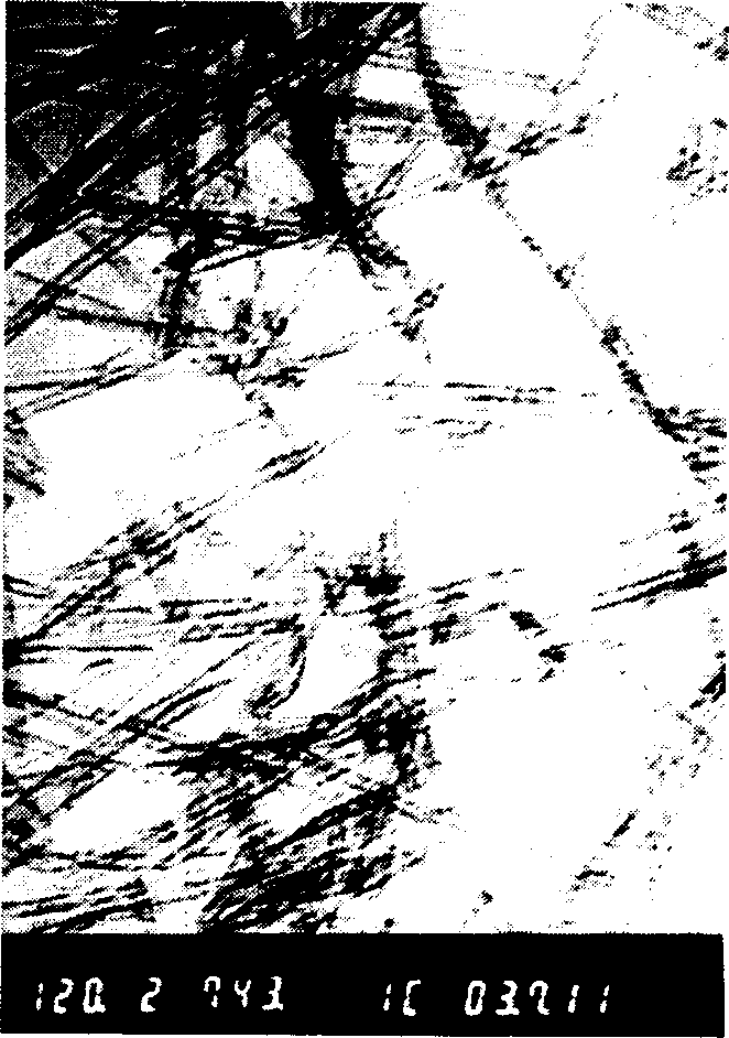 Titanium oxide nano tube and preparing method thereof