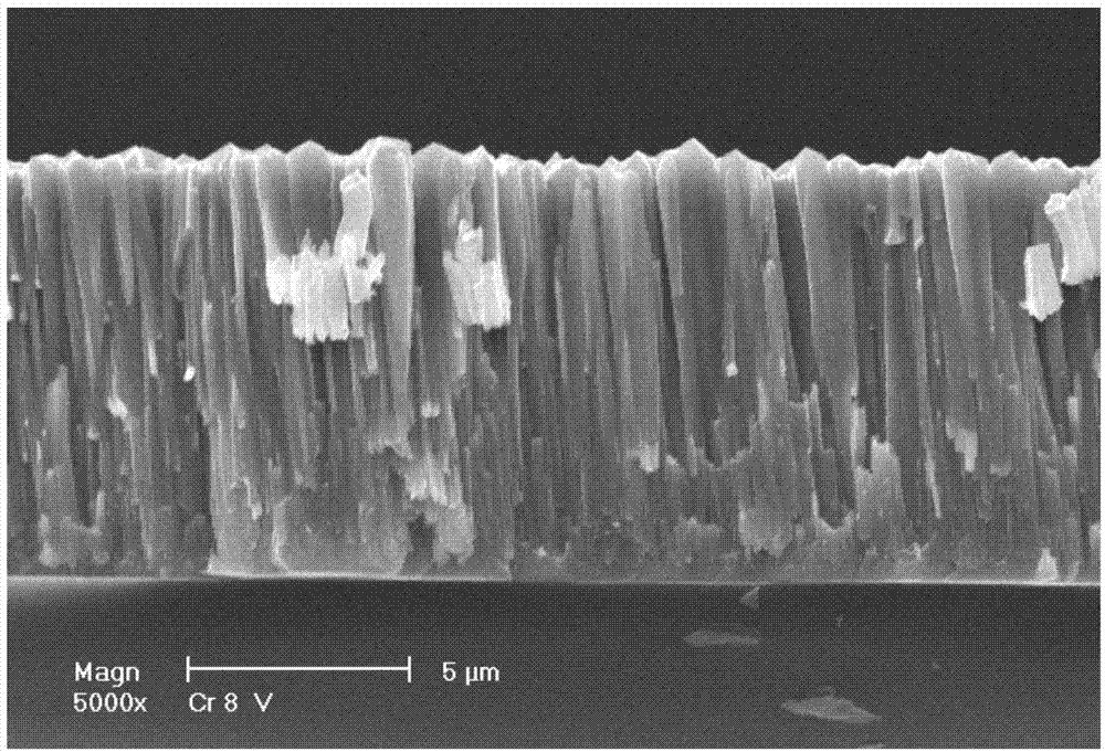 Method for preparing silicon thin film light and heat absorber