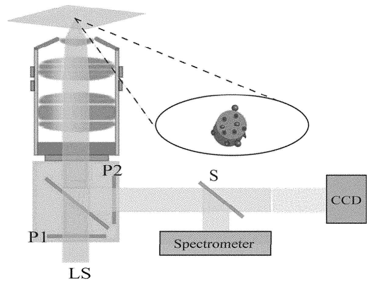 Light microscopy chips and data analysis methodology for quantitative localized surface plasmon resonance (LSPR) biosensing and imaging