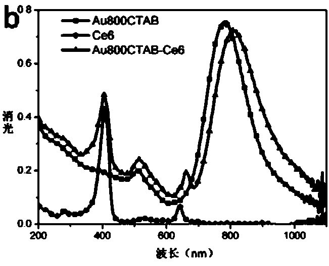 Exciton-plasmon coupling system, its construction method and method for enhancing singlet oxygen generation of photosensitizer by using the coupling system