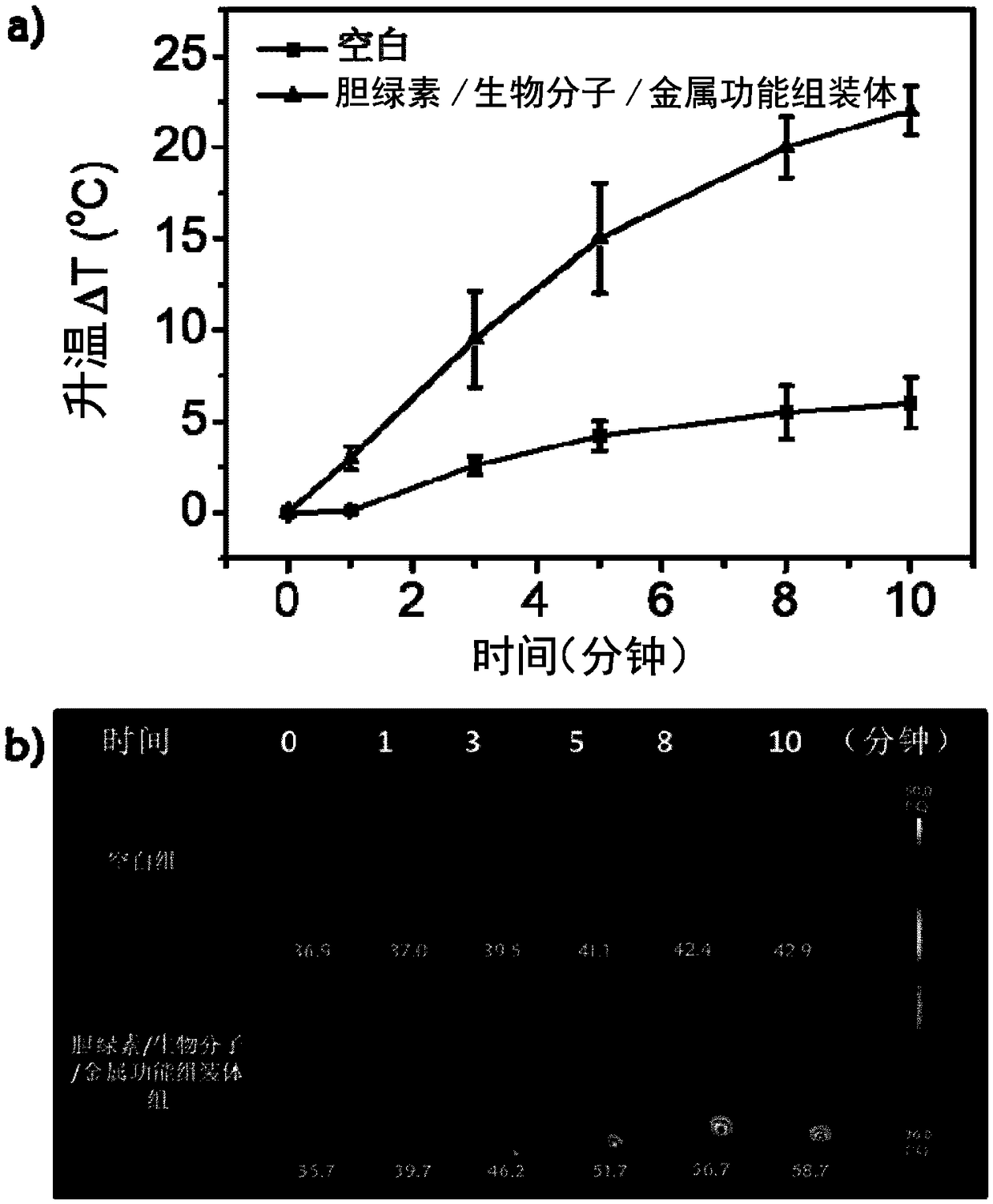 Photothermal preparation based on biliverdin, preparation method and application thereof