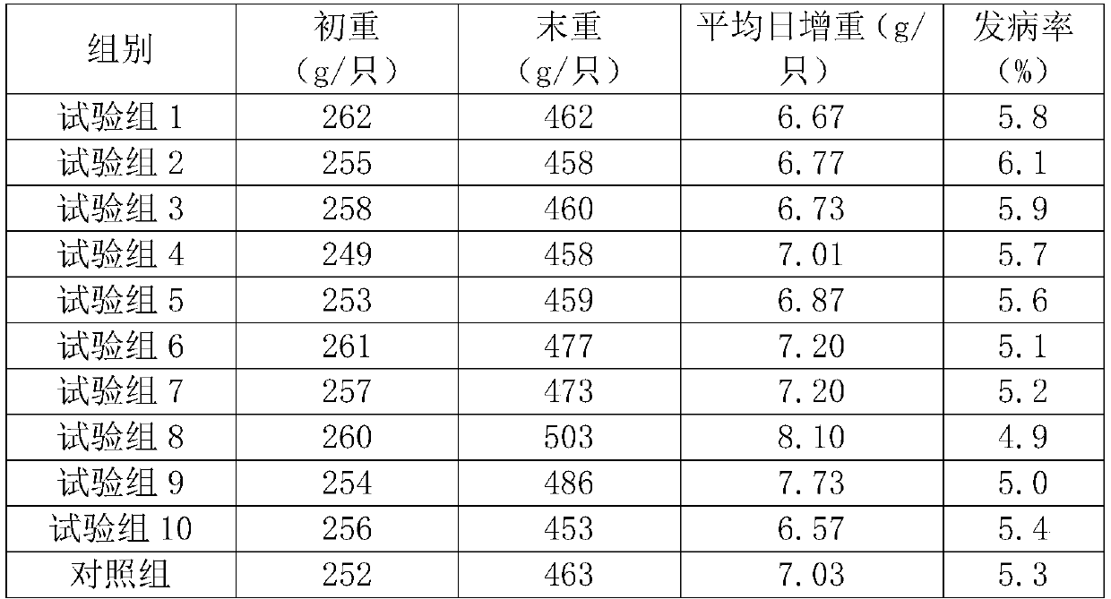 Antibiotics-free feed formula for culturing meat pigeons and production method thereof