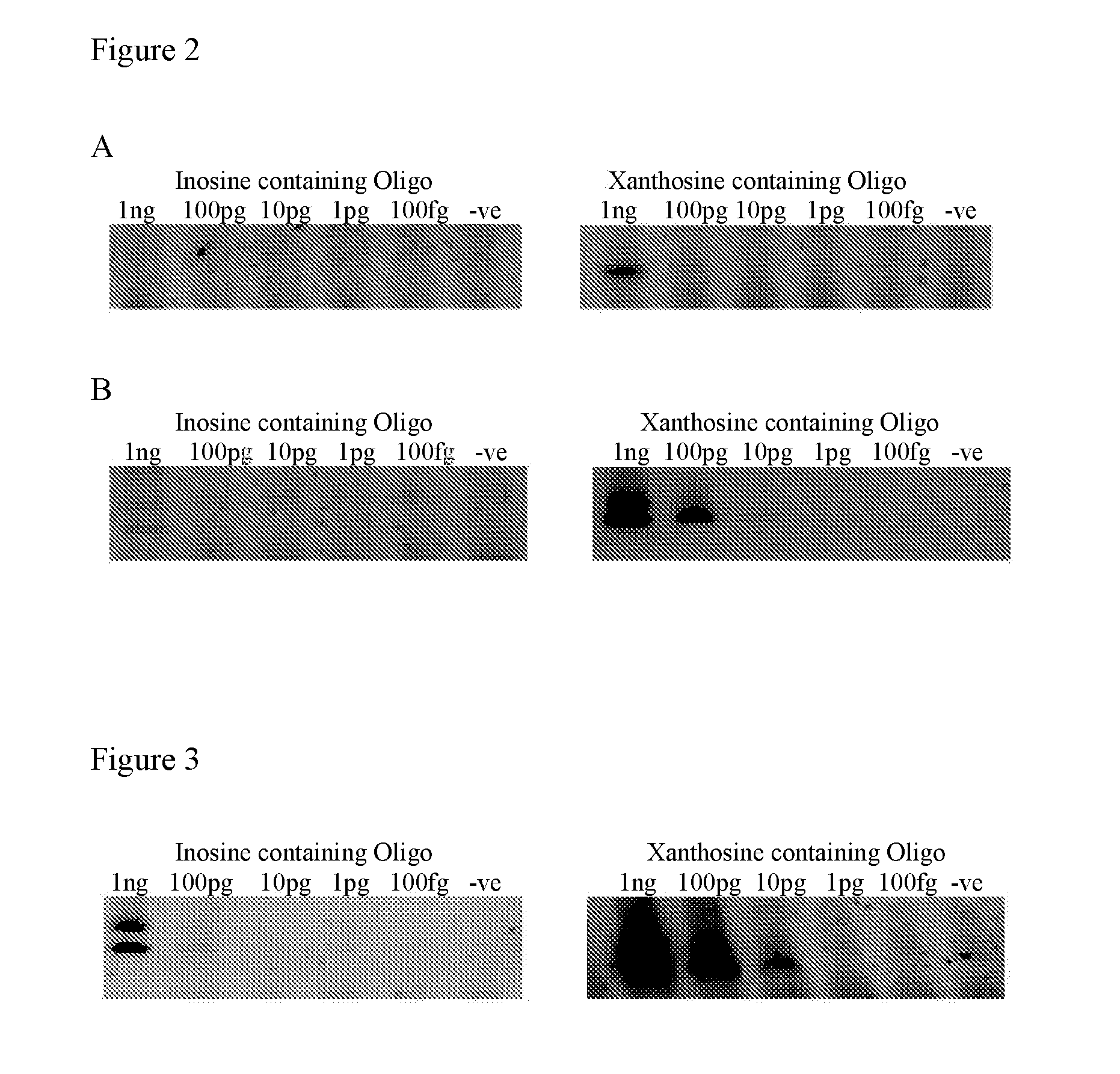 Isothermal strand displacement amplification