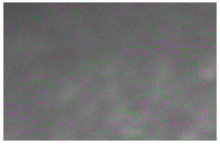 Anti-ultraviolet coating and preparation method thereof