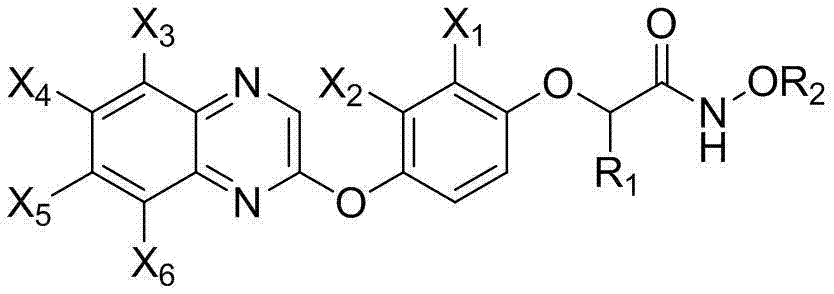 2-[4-(quinoxaline-2-oxygroup) phenoxy] alkylamide and application thereof