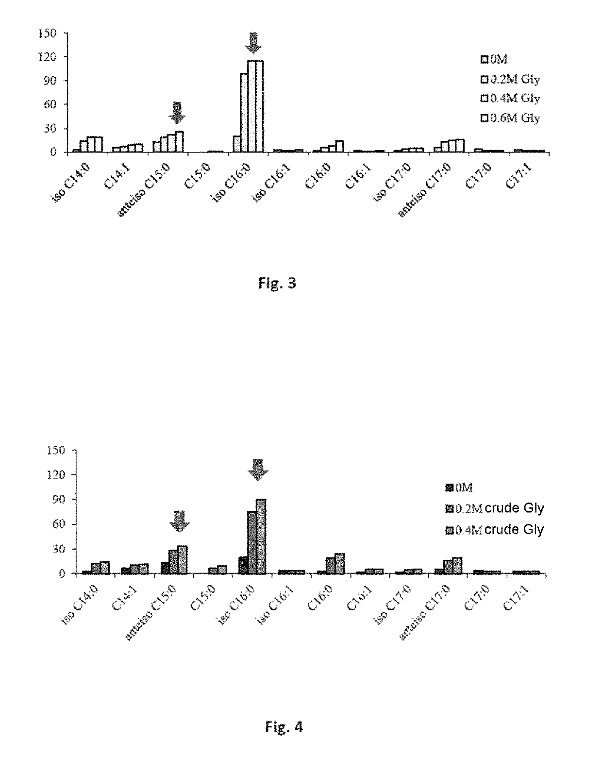 Triacylglycerol-based lipid composition