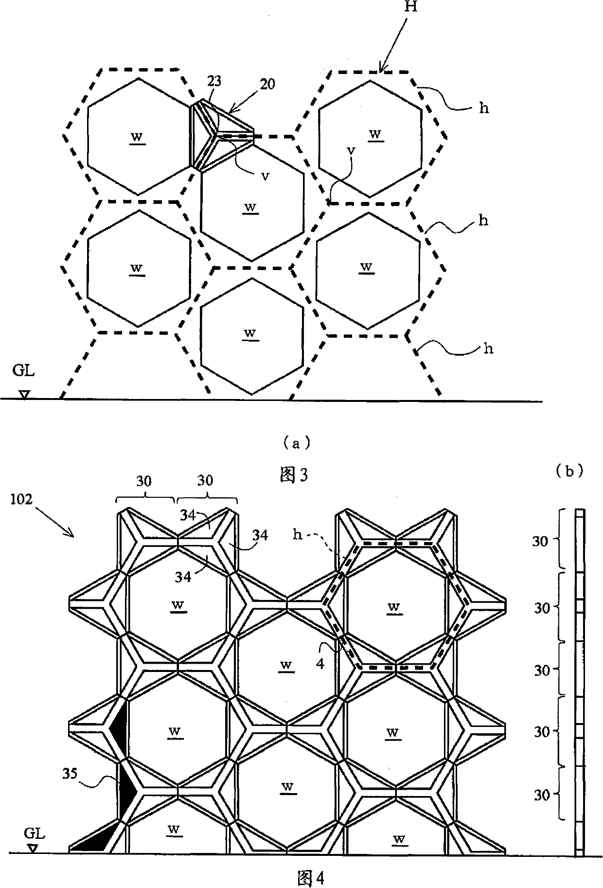 Honeycomb building tectosome