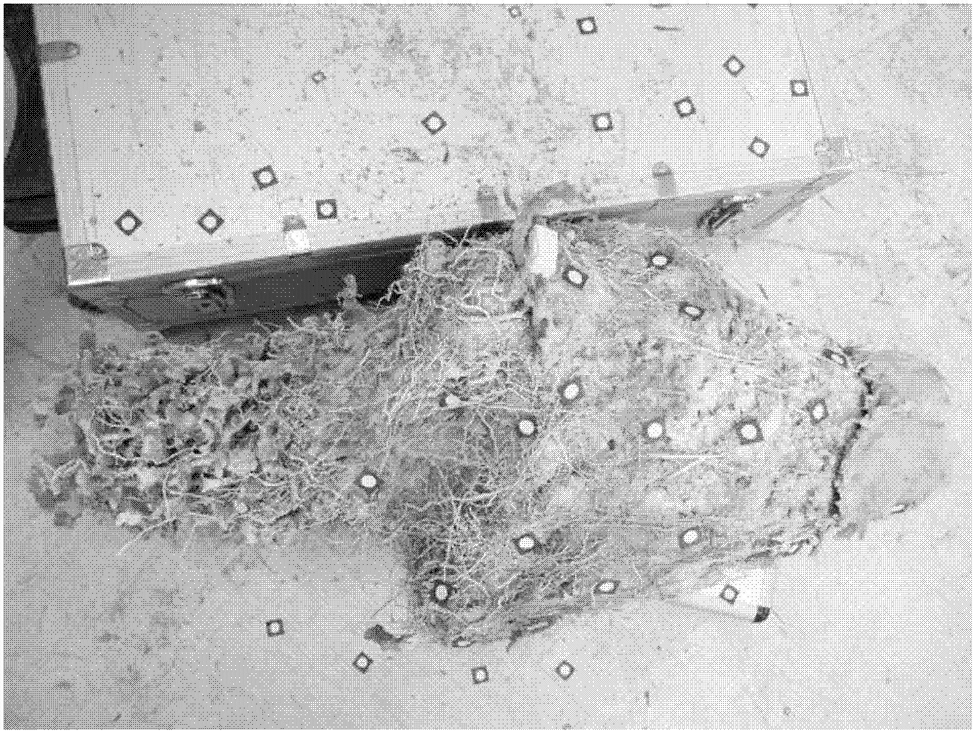 Method for fabricating ant nest casting mould