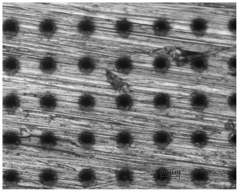 Method for changing surface wettability of invar alloy through femtosecond laser