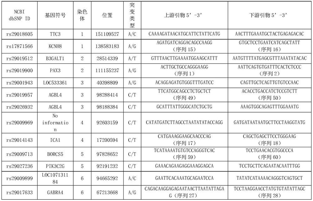 SNP marker combination and its application for traceability identification of beef cattle individual and meat products