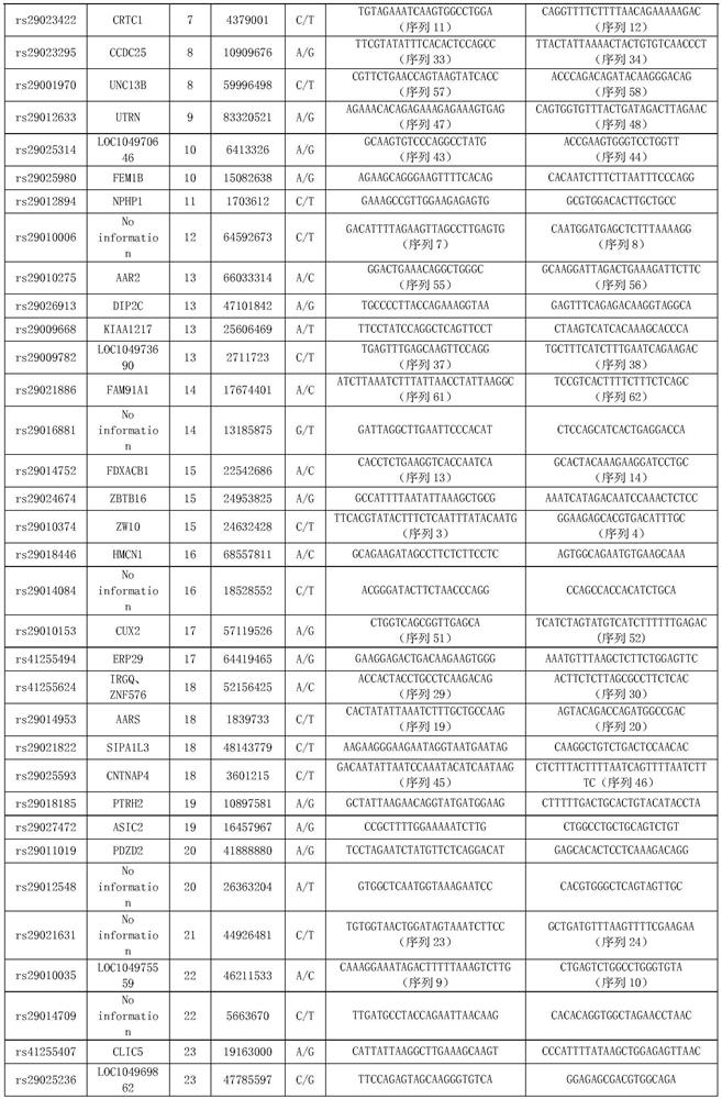 SNP marker combination and its application for traceability identification of beef cattle individual and meat products