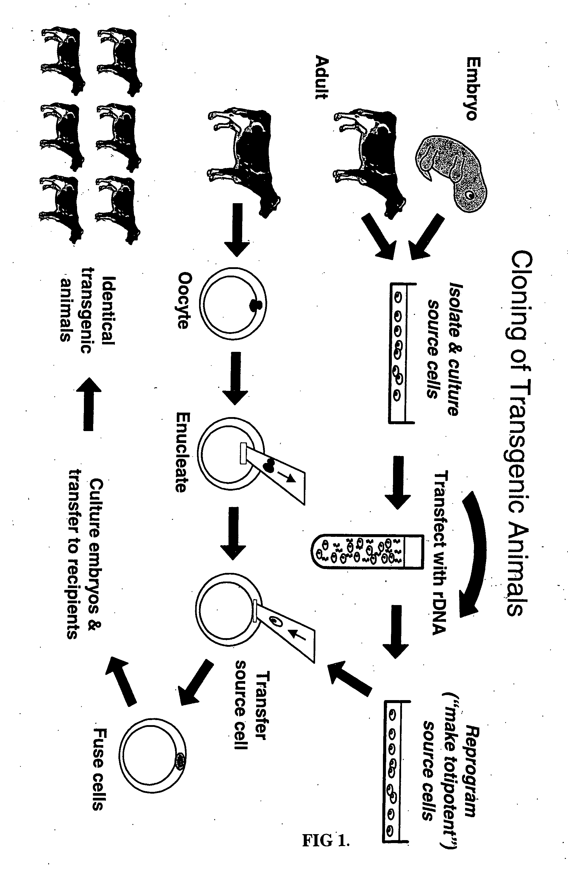 Method of preventing fibrin clots in pulmonary tissue through the use of aerosolized anticoagulants