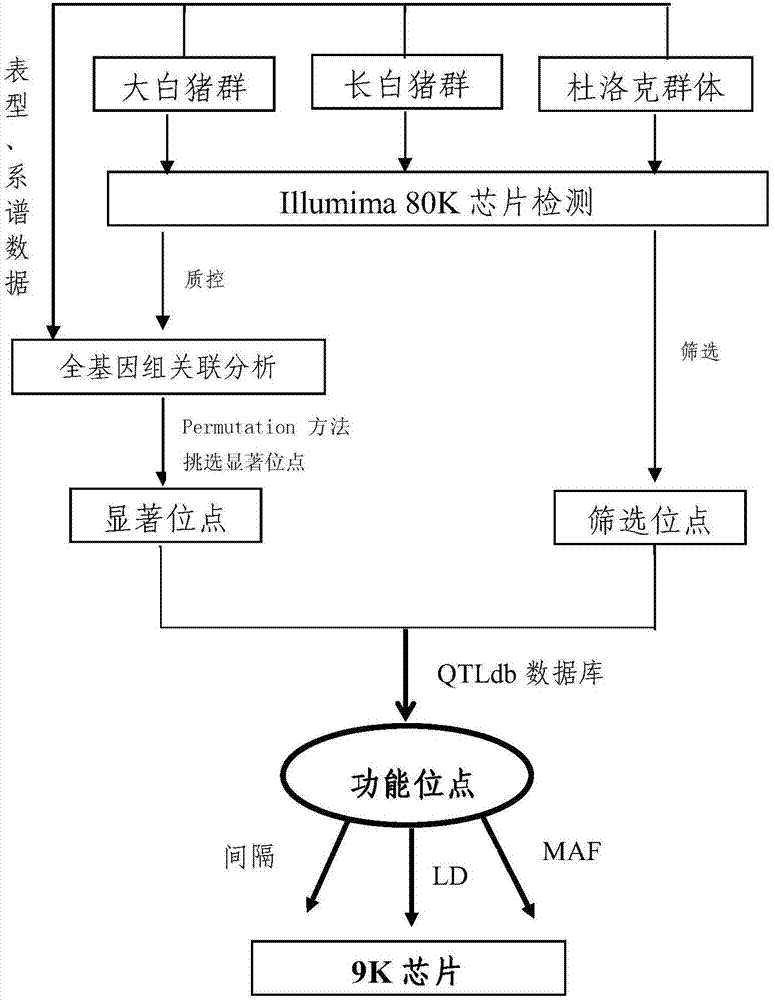 Pig-whole-genome low-density SNP chip and manufacturing method and application thereof