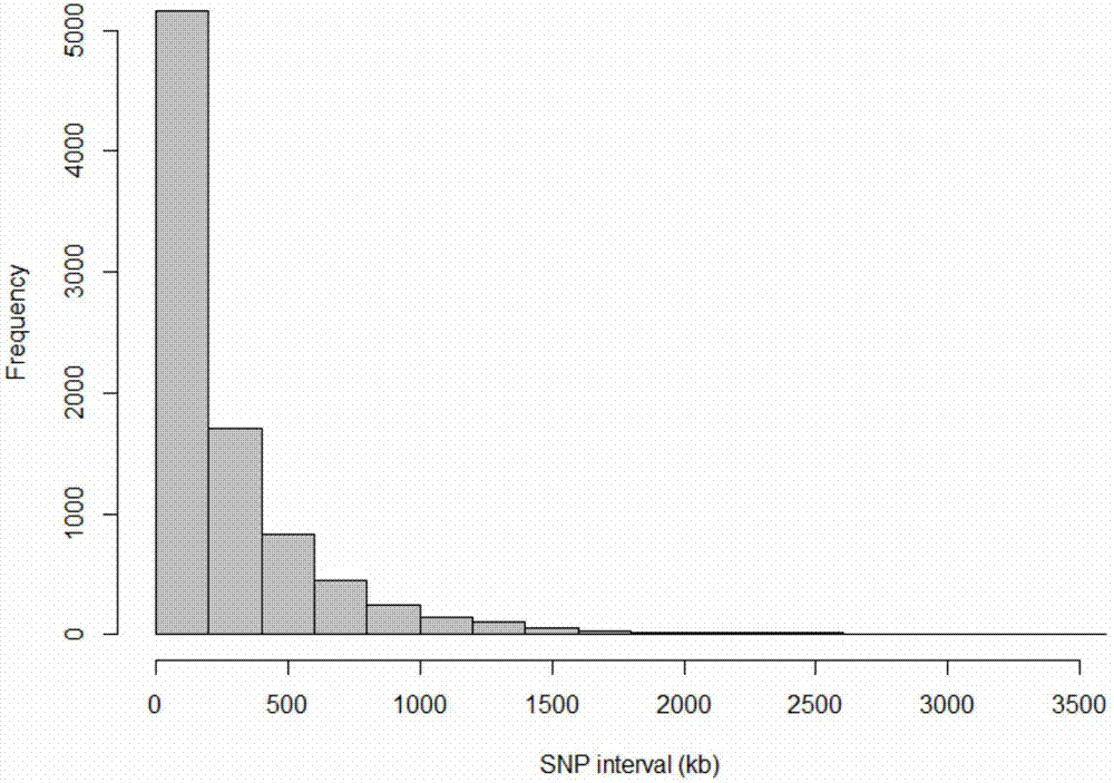 Pig-whole-genome low-density SNP chip and manufacturing method and application thereof