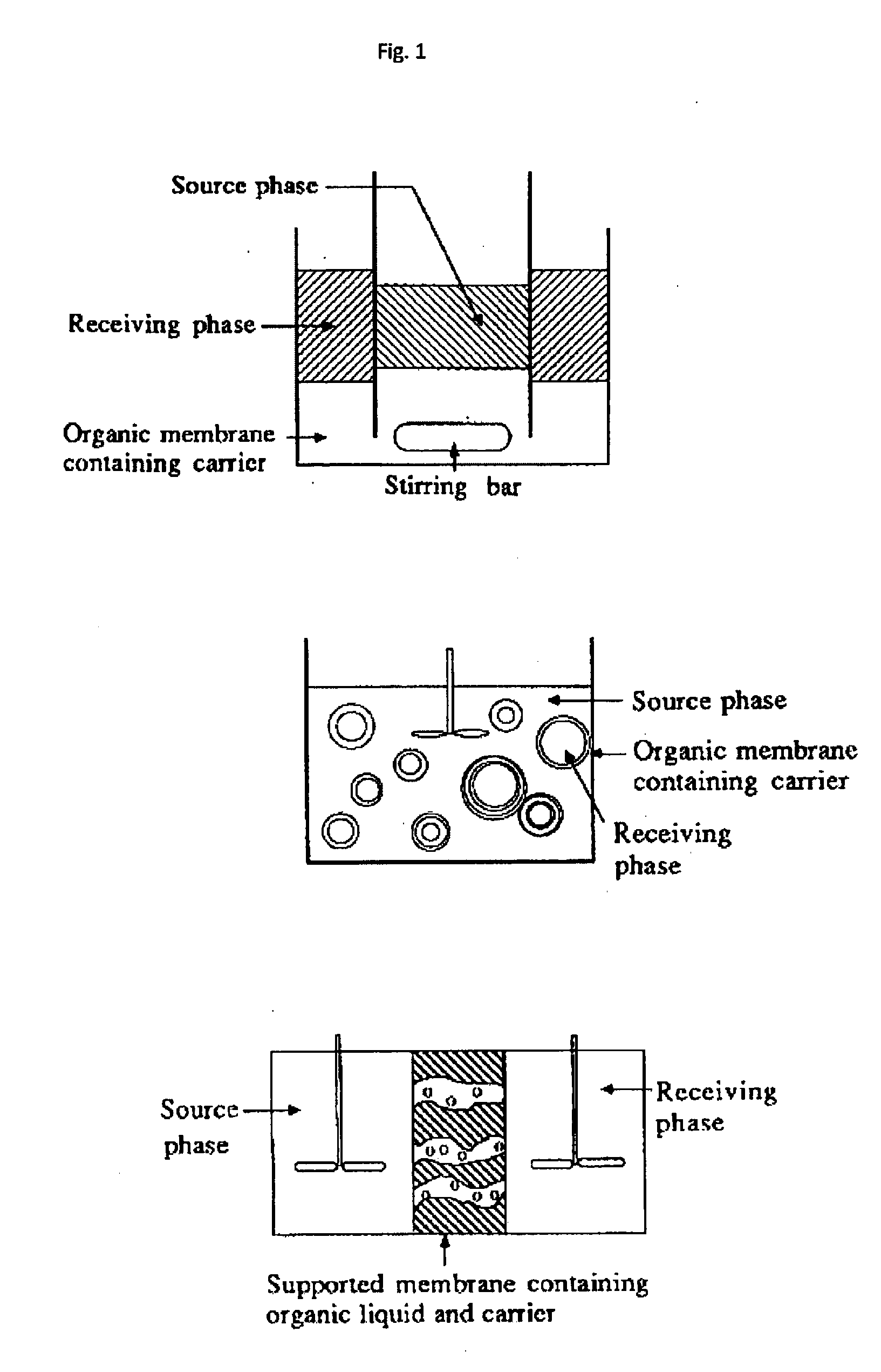 Biomimetic membranes and uses thereof