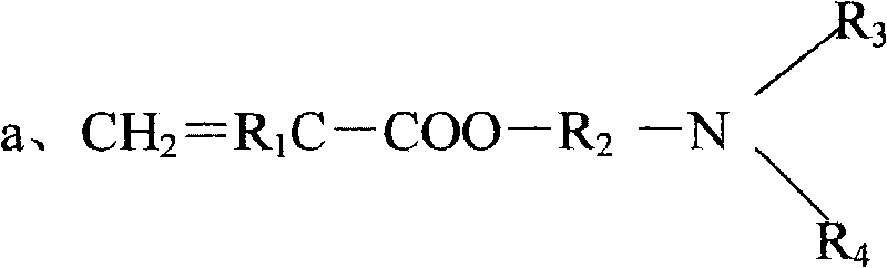 Forming polymer for amine oxide type amphoteric hair and application thereof