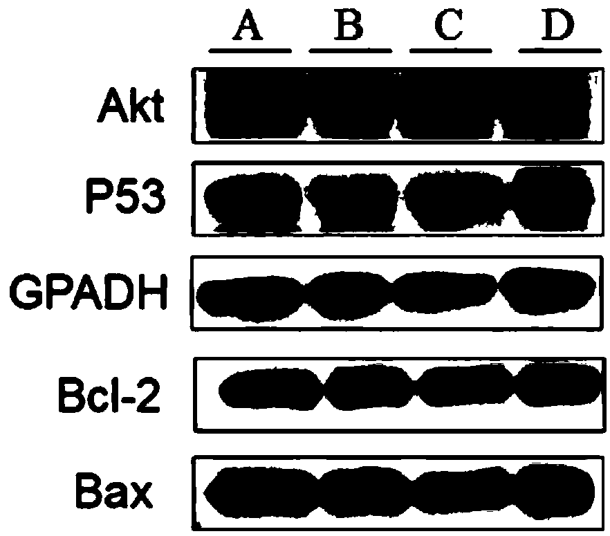 Protein extraction method and application