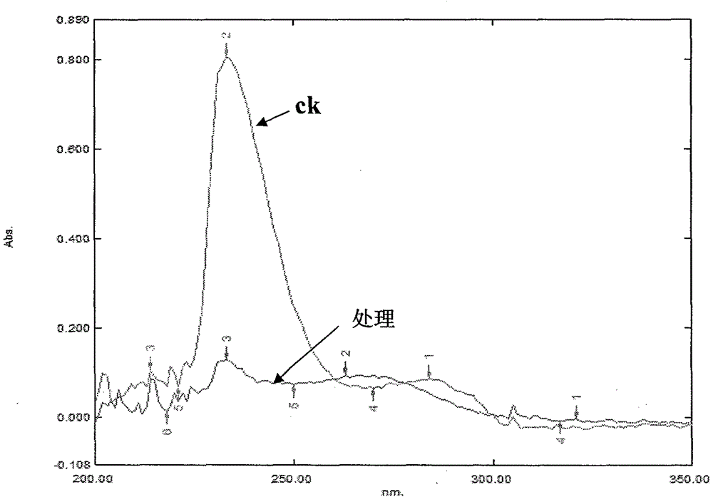 Degradation bacterium capable of efficiently degrading propyzamide and application thereof