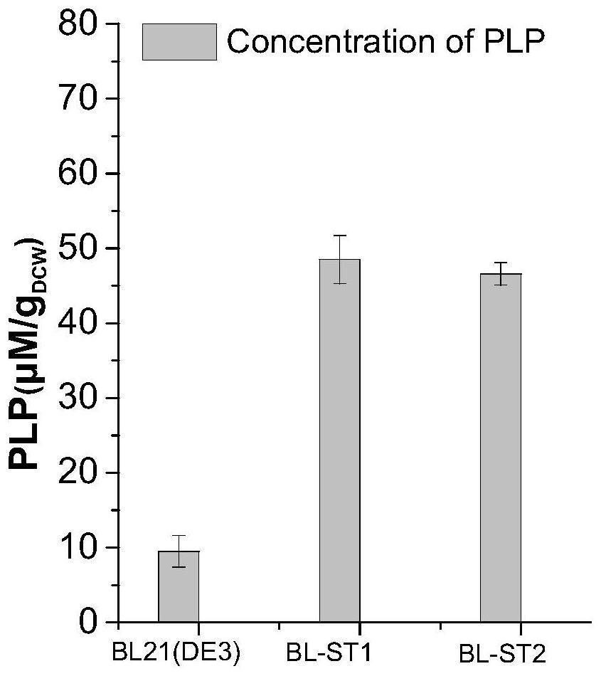 Engineering bacterium for co-expressing L-threonine aldolase and PLP synthase and application