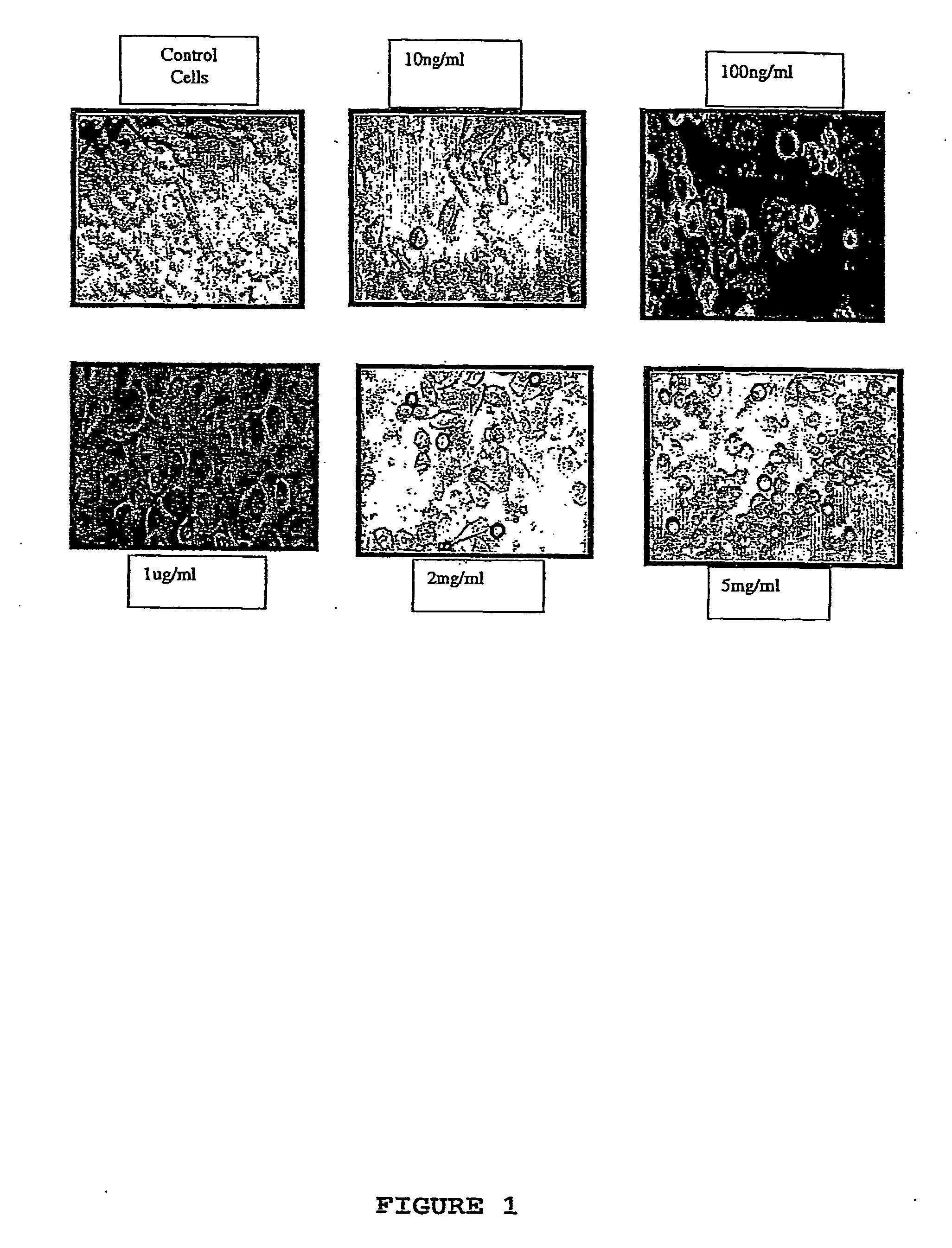 Hyaluronan as a cytotoxic agent, drug pre-sensitizer and chemo-sensitizer in the treatment of disease