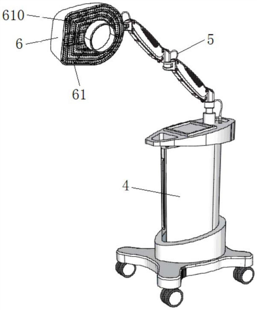 Instrument for realizing deep immune thermal therapy of human body by utilizing far infrared rays