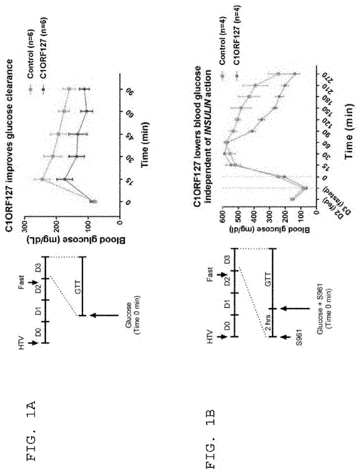 Methods and compositions for treating diabetes, and methods for enriching mRNA coding for secreted proteins