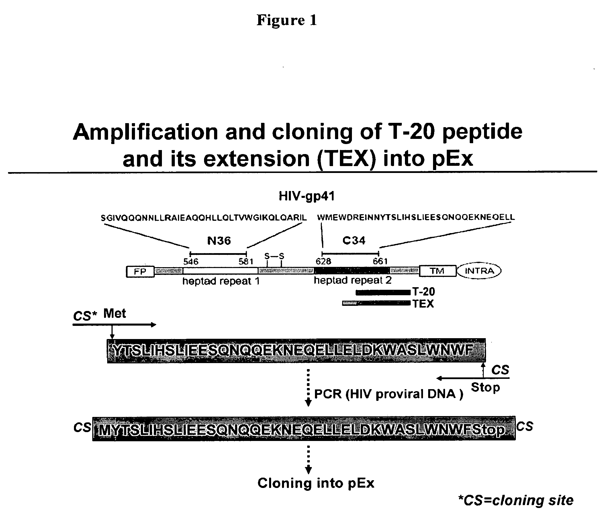 Biosynthetic Polypeptide Fusion Inhibitors