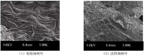 Method for preparing phosphorus removal adsorbent by malic acid modification