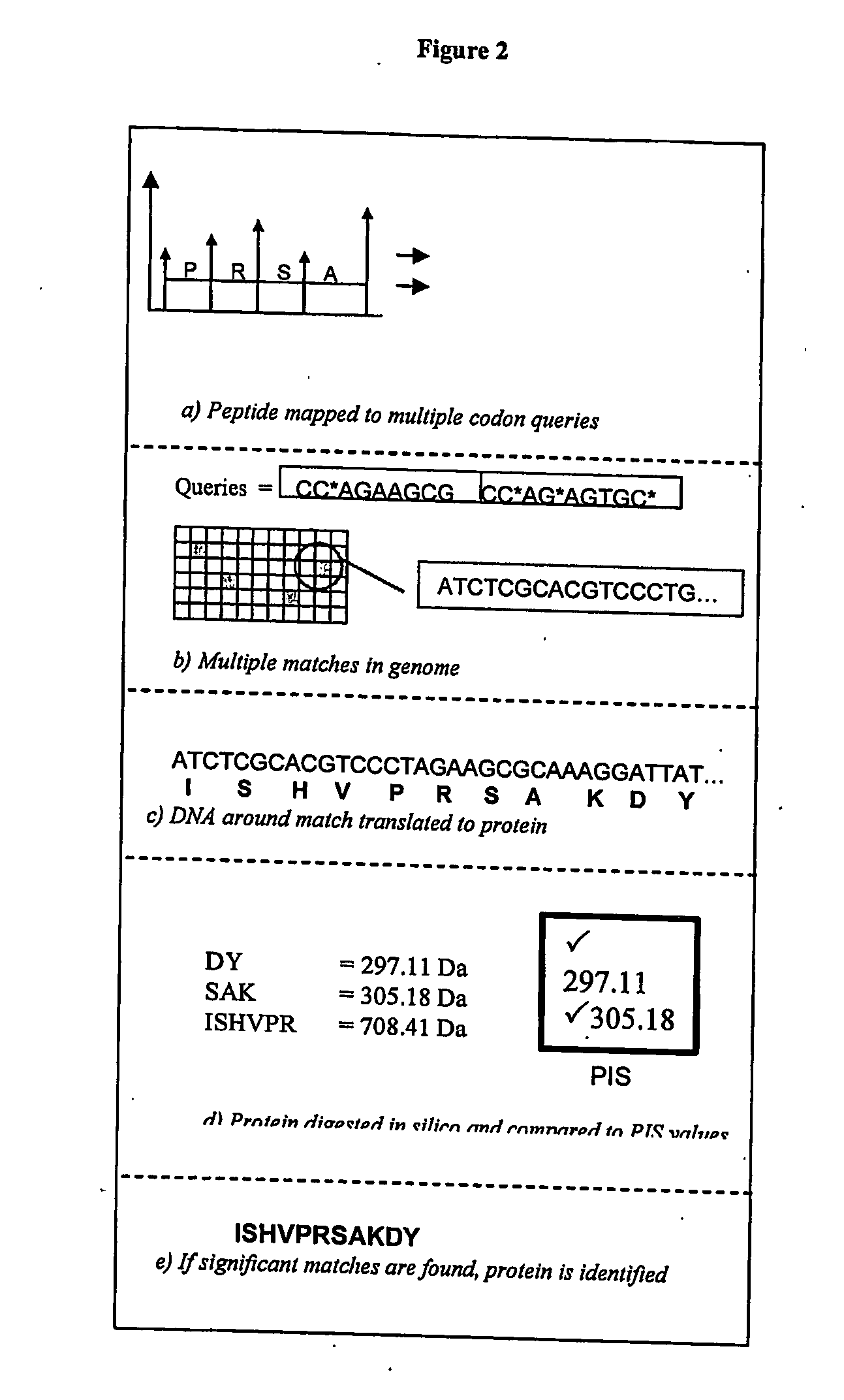 Protein identification methods and systems