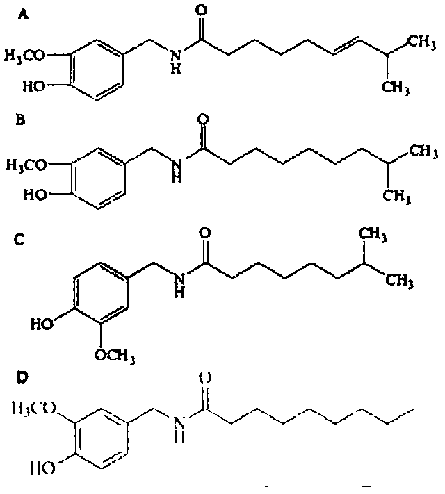 Preparation method for edible oil standard substance containing capsicine compound