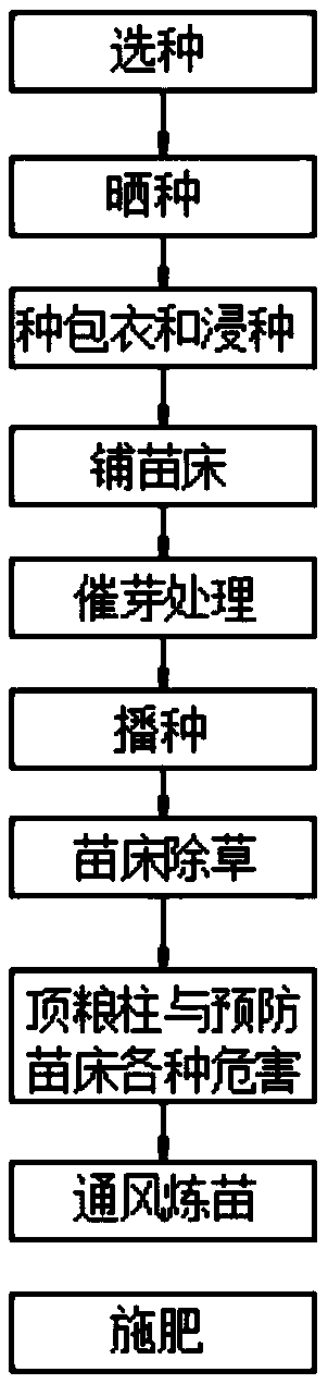 Planting method of alpine black rice