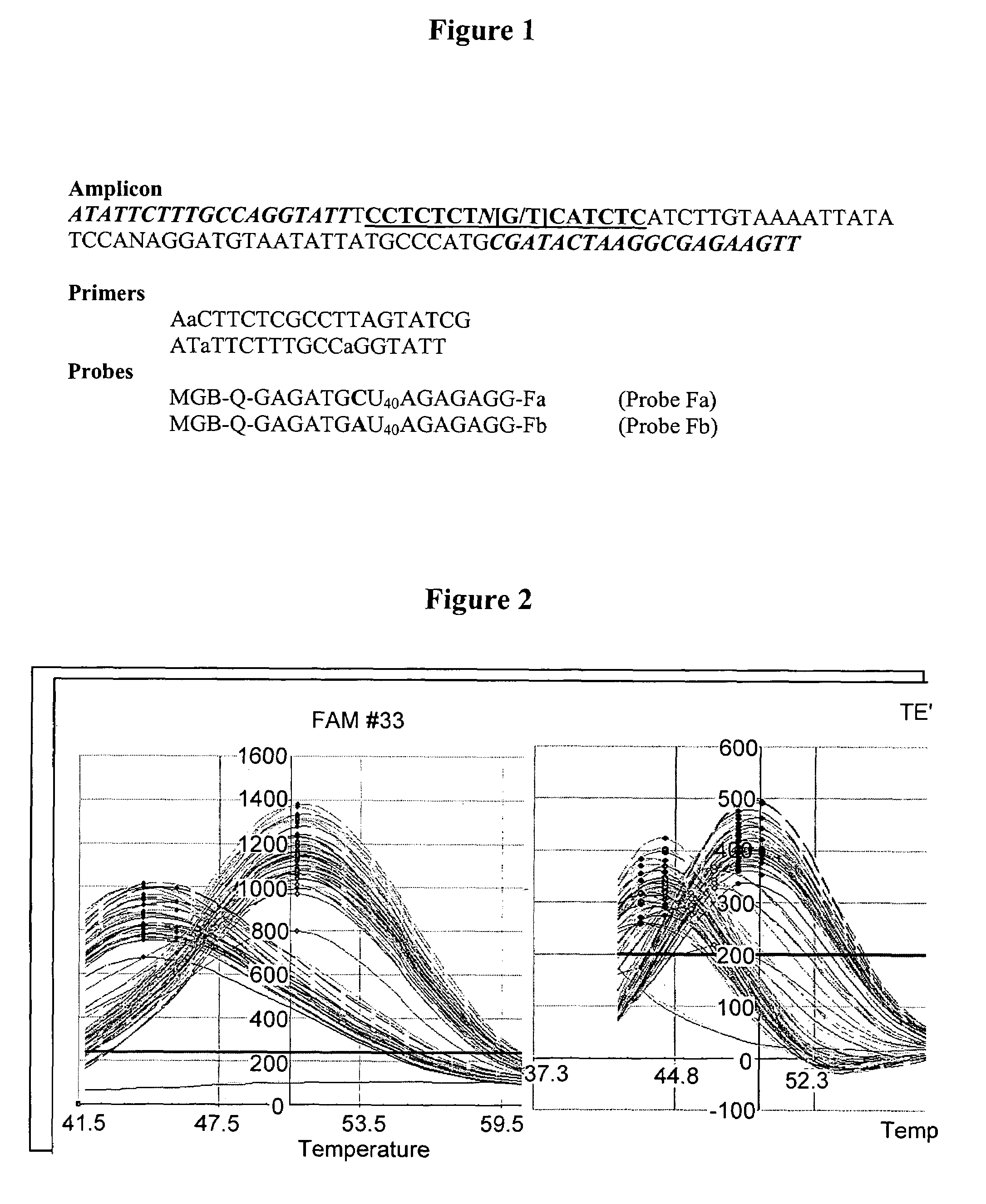 Single nucleotide polymorphism analysis of highly polymorphic target sequences