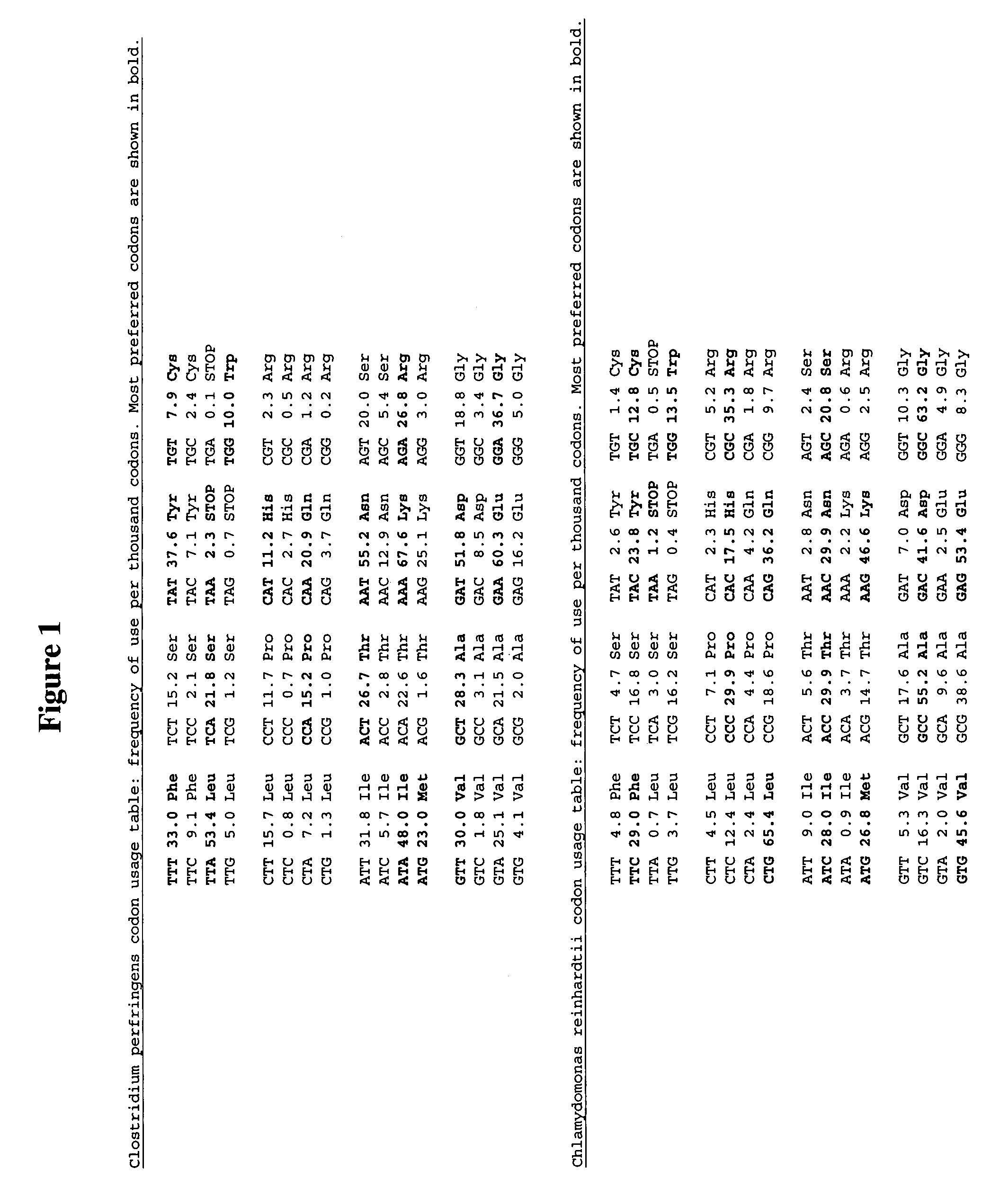 Methods and compositions for evolving hydrogenase genes