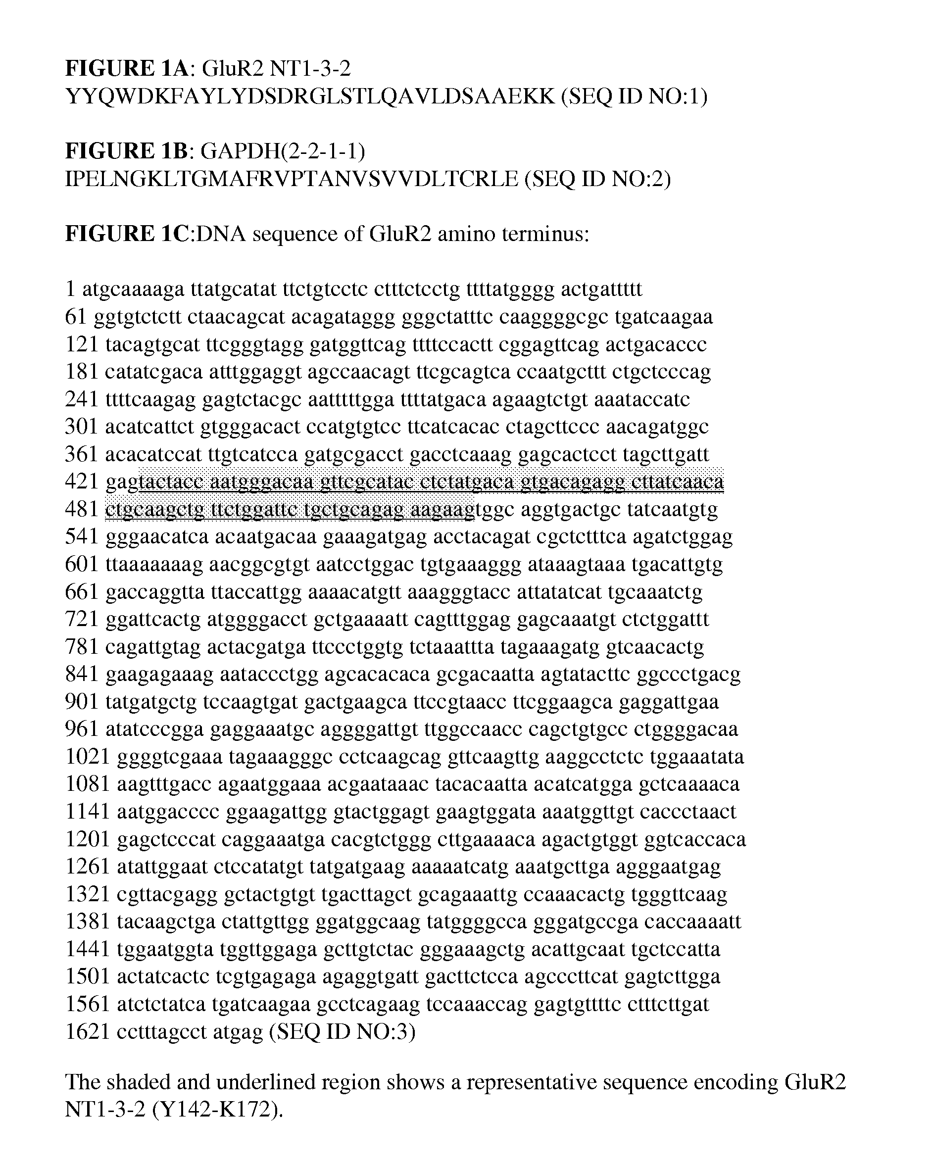 Compositions and methods for modulating AMPA receptor-mediated excitotoxicity