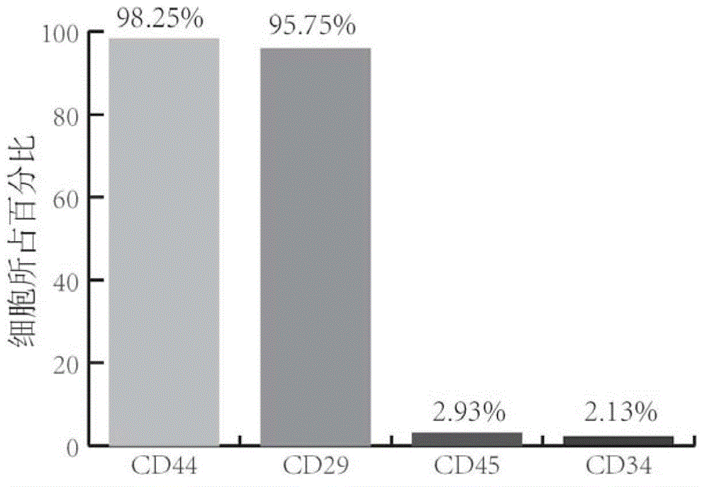 Method for inducing mesenchymal stem cells (MSCs) into chondrocytes