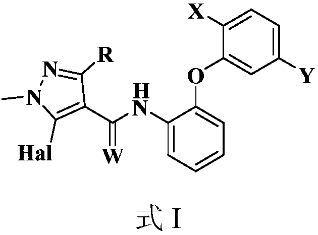 Amide compound and preparation method and application thereof